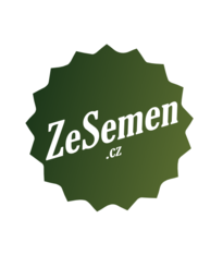 BIO Kapusta růžičková Hemera F1 - Brassica oleracea - bio semena - 20 ks