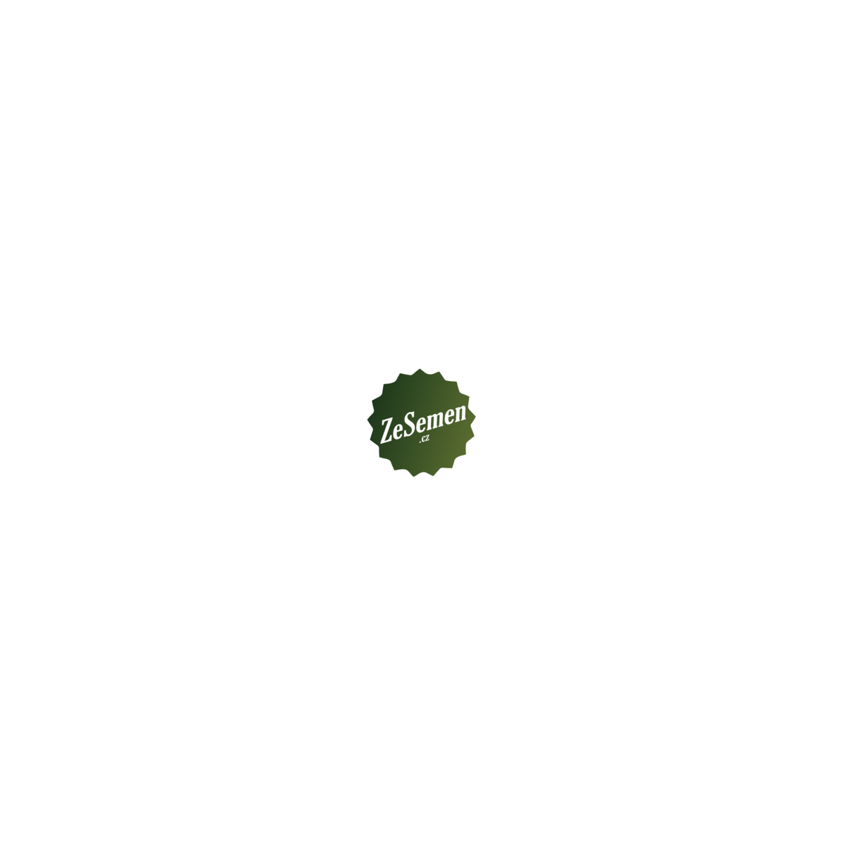 BIO semena – BIO Kapusta růžičková Hemera F1 – Brassica oleracea
