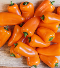 Paprika Snacking Orange - Capsicum annuum - semena - 5 ks
