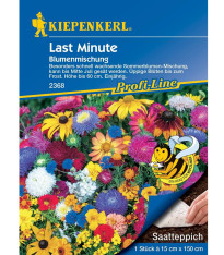 Směs letniček last minute - výsevný pásek - 15x150 cm