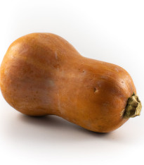 Dýně máslová Honeynut - Cucurbita moschata - semena - 6 ks