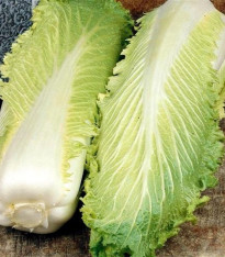 BIO pekingské zelí Granat - Brassica rapa pekinensis - bio semena - 100 ks