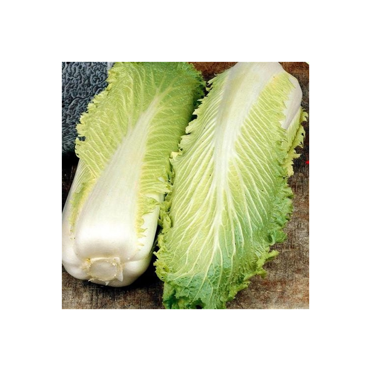 BIO pekingské zelí Granat - Brassica rapa pekinensis - bio semena - 100 ks