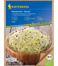 BIO Cibule - bio semena na klíčení - 15 g