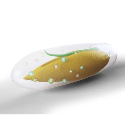 Dosevové perly na dosev trávníku - Kiepenkerl - travní směs - 100 g