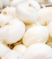 Cibule kuchyňská Ranila - Allium cepa - semena - 100 ks