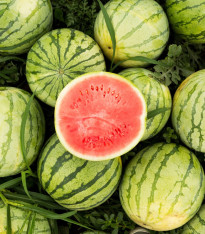 Meloun vodní Tigrimini F1 - Citrullus lanatus - semena - 5 ks