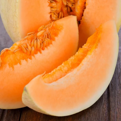 Meloun cukrový Sweet Granite - Cucumis melo - semena - 10 ks