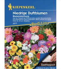 Výsevný koberec nízké voňavé květy - výsevný pásek - 15x150 cm