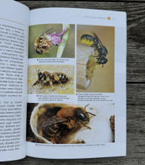 Domečky pro včely a užitečný hmyz - kniha - 1 ks