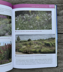 Květiny pro suché zahrady - kniha - 1 ks