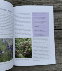 Zahrada pro včely - kniha - 1 ks