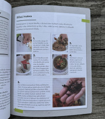 Vertikální zeleninové zahrádky - kniha - 1 ks