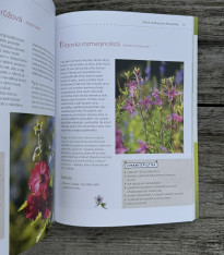 Moje motýlí zahrada - kniha - 1 ks