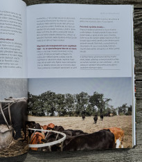 BIO je naše cesta - kniha - 1 ks