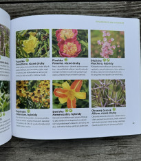 Stateční v zahradě - kniha - 1 ks