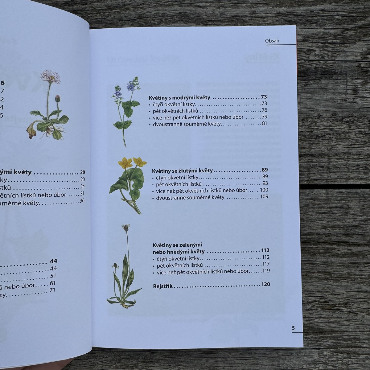 Květiny - rozpoznejte snadno 100 druhů - kniha - 1 ks