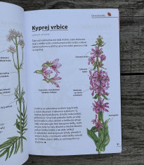 Květiny - rozpoznejte snadno 100 druhů - kniha - 1 ks