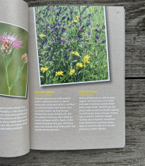 Jak zachránit včely - kniha - 1 ks