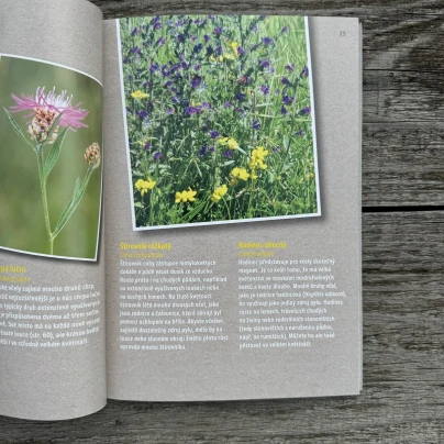 Jak zachránit včely - kniha - 1 ks