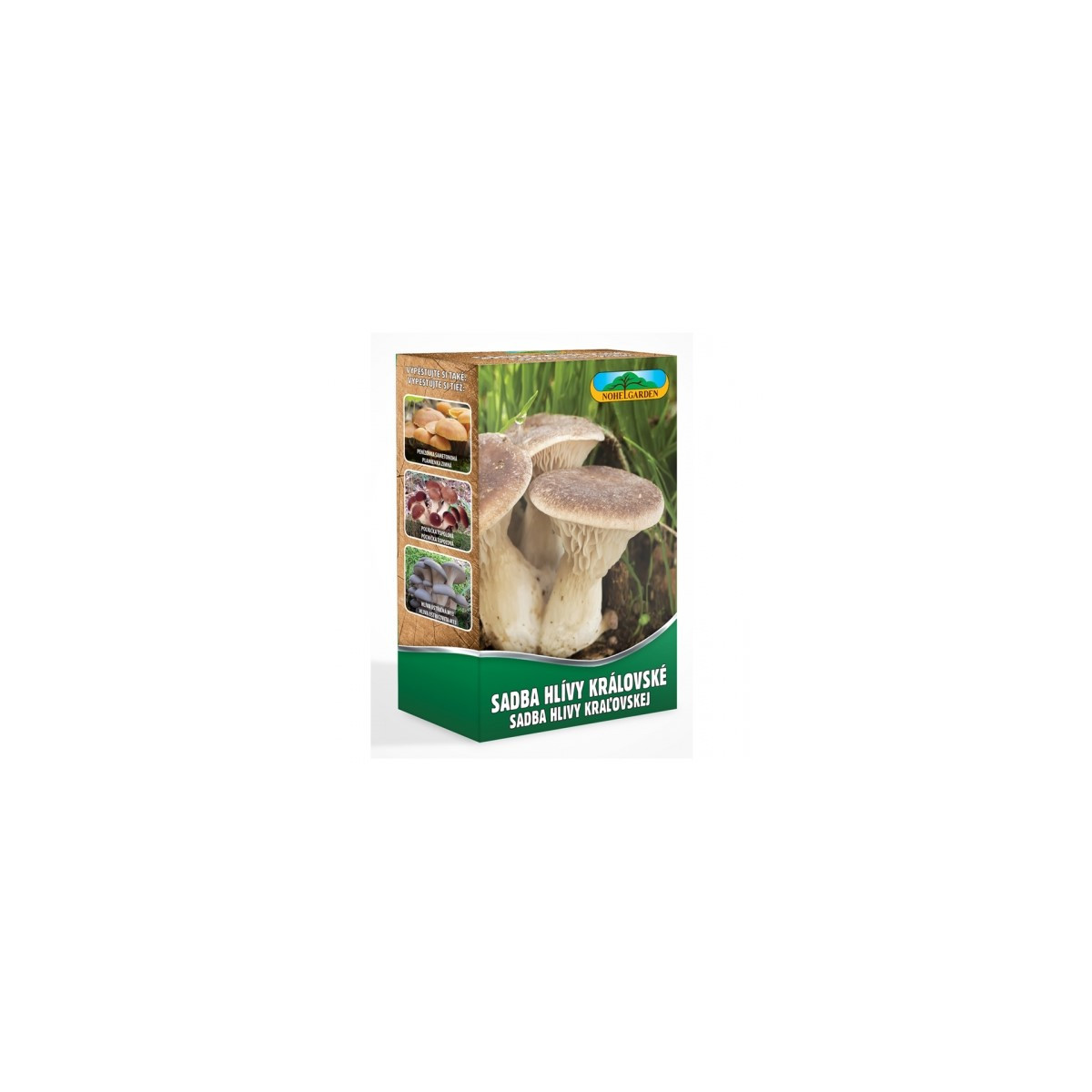 Hlíva královská máčková - Pleurotus eryngii - sadba - 250 ml