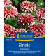Ostálka Flamenco - Zinnia elegans - semena - 50 ks