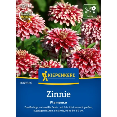 Ostálka Flamenco - Zinnia elegans - semena - 50 ks
