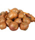 Cibule šalotka Red Sun - Allium cepa - cibulky - 250 g