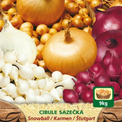 Směs sazeček - Allium cepa - 3 druhy - 150 g