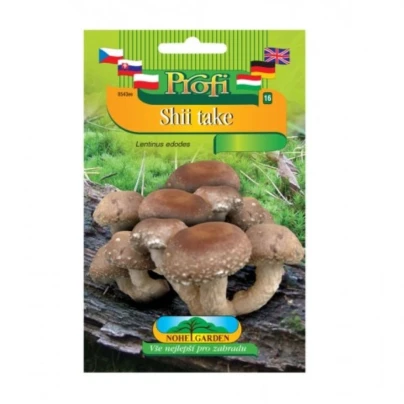 Shii take - Houževnatec jedlý - Lentinula edodes - sadba - 1 ks