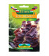Ucho Jidášovo - Auricularia auricula-judae - sadba - 1 ks