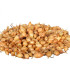 Cibule sazečka Všetana - Allium cepa - cibulky - 250 g