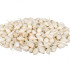 Cibule sazečka Snowball - Allium cepa - cibulky - 250 g
