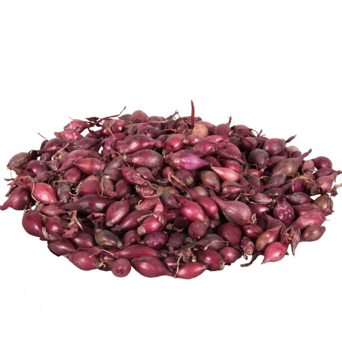Cibule sazečka Karmen - Allium cepa - cibulky - 250 g