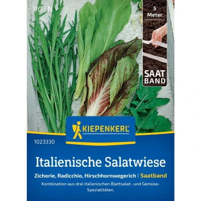 Semena italských salátů - výsevný pásek - 5 m