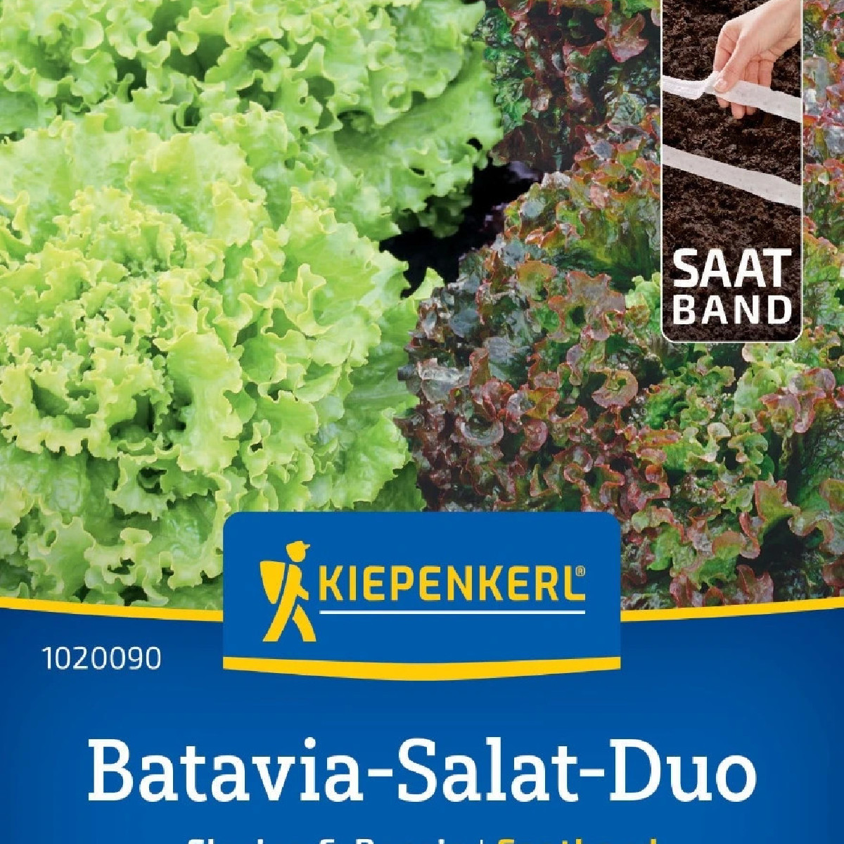 Batavia salát duo Florine & Rossia - výsevný pásek - 1 ks