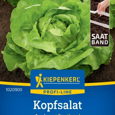 Salát Analena - výsevný pásek - 1 ks
