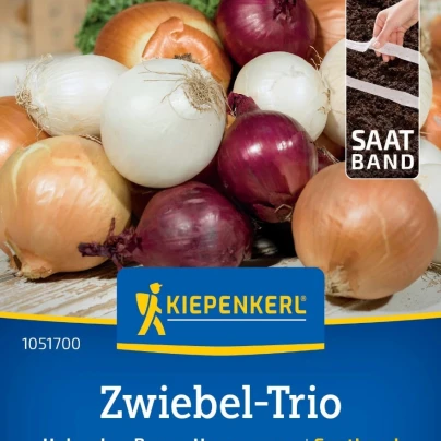 Cibule trio Hylander, Romy a Honeymoon - výsevný pásek - 1 ks