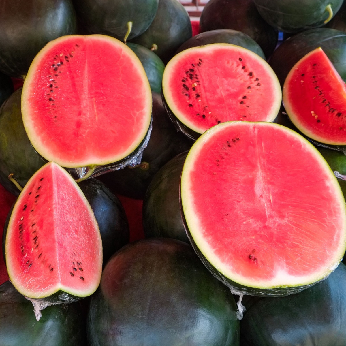 BIO Meloun vodní Sugar Baby - Citrullus lanatus - bio semena - 6 ks