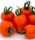 Rajče tyčkové Appleberry F1 PhR oranžové - Solanum lycopersicum - semena - 7 ks