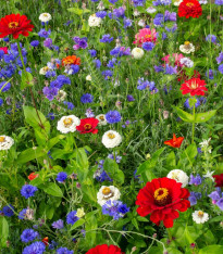 Trikolóra - Černý Biopro - luční směs - 20 g