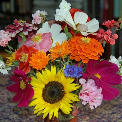 Pestrá kytice - Černý Biopro - luční směs - 20 g