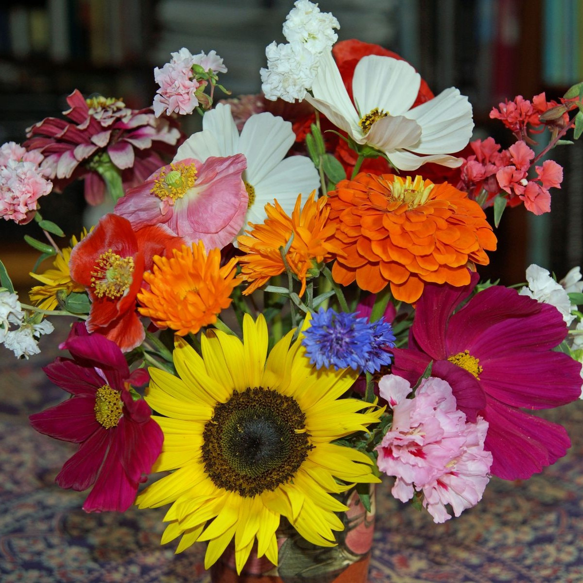 Pestrá kytice - Černý Biopro - luční směs - 20 g