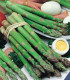 Chřest Gijnlim - Asparagus officinalis - prostokořenné sazenice - 1 ks