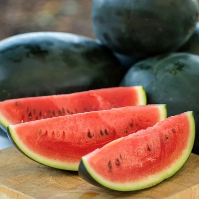 Meloun vodní Little Darling F1 - Citrullus lanatus - semena - 5 ks