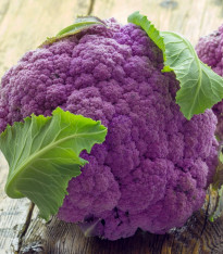 Květák Di Sicilia Violetto - Brassica oleracea - semena - 30 ks