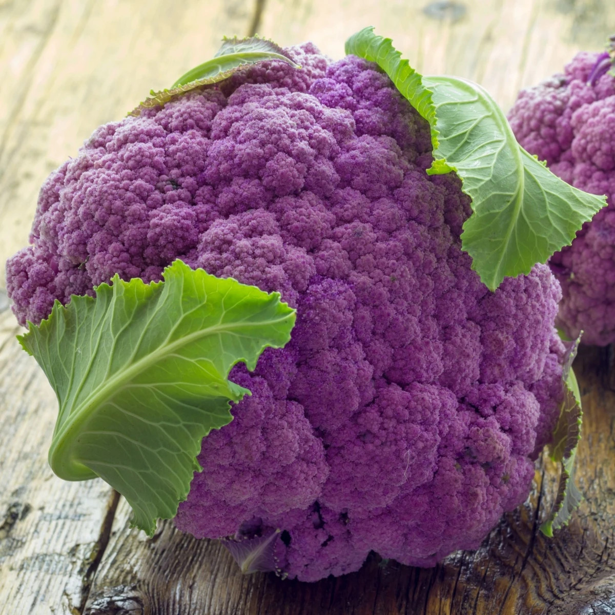 Květák Di Sicilia Violetto - Brassica oleracea - semena - 30 ks