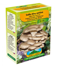 Hlíva ústřičná - Pleurotus ostreatus - sadba - 250 ml