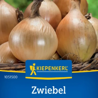 Cibule Exhibition - Allium cepa - semena - 100 ks