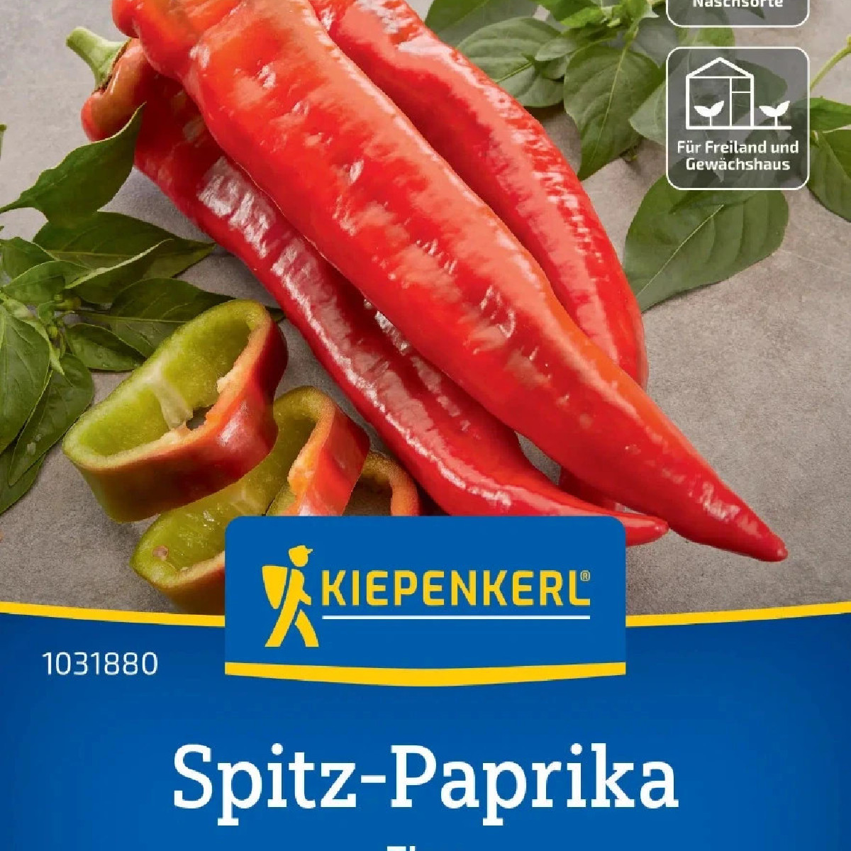 Paprika Thor F1 - Capsicum annuum - semena - 7 ks